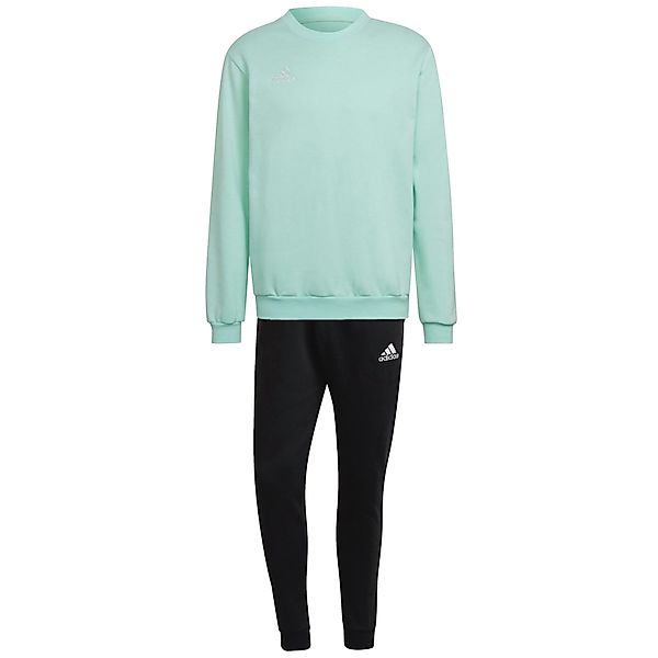 adidas Performance Trainingsanzug adidas Herren Sweatanzug günstig online kaufen