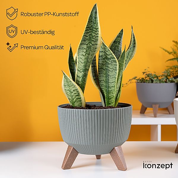 KONZEPT Blumentopf Pflanzschale 24/29cm Blumentopf mit Füßen, mit Wasserabf günstig online kaufen