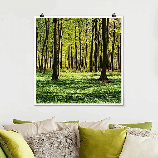 Poster Natur & Landschaft - Quadrat Waldwiese günstig online kaufen