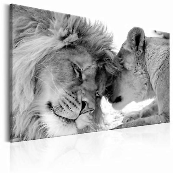 artgeist Wandbild Lion's Love schwarz/weiß Gr. 60 x 40 günstig online kaufen