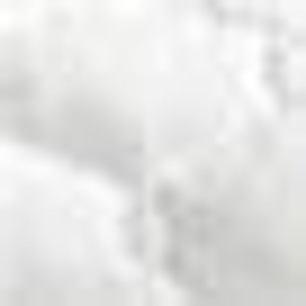 Schlaf-Gut Microfaserkissen TENCEL™, Füllung: versteppt mit Lyocell & Polye günstig online kaufen