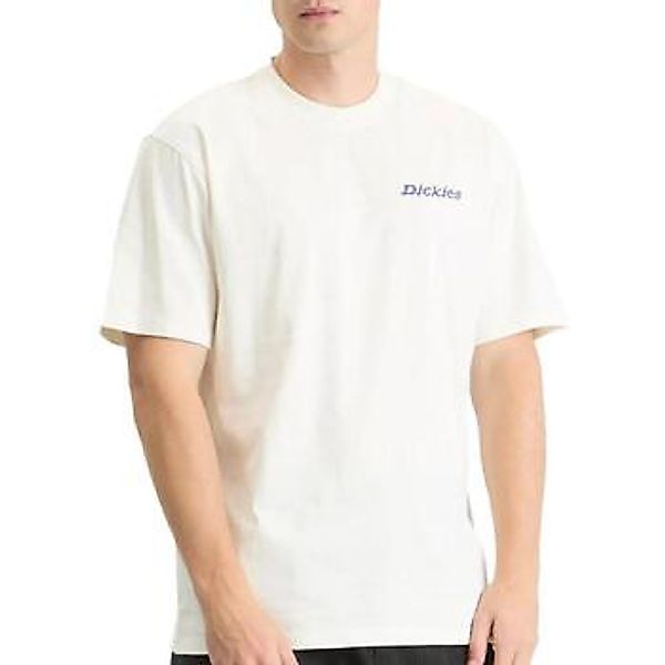 Dickies  T-Shirt DK0A87QPC481 günstig online kaufen