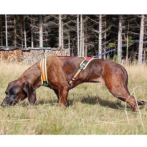 Niggeloh Hunde-Geschirr Hundeführgeschirr FollowTrail günstig online kaufen