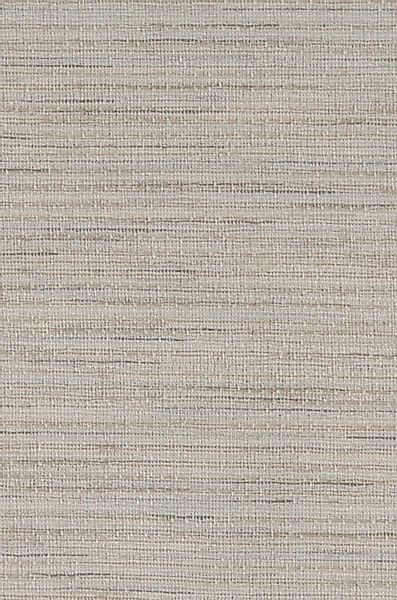 Neutex for you! Schiebegardine »Biella«, (1 St.), HxB: 245x60 günstig online kaufen