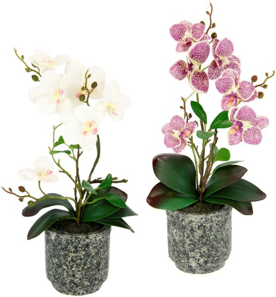 Kunstpflanze Orchidee, I.GE.A., Höhe 38 cm, günstig online kaufen