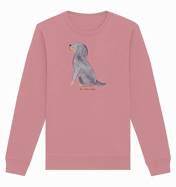 Mr. & Mrs. Panda Longpullover Gordon Setter Moment Größe L - Canyon Pink - günstig online kaufen