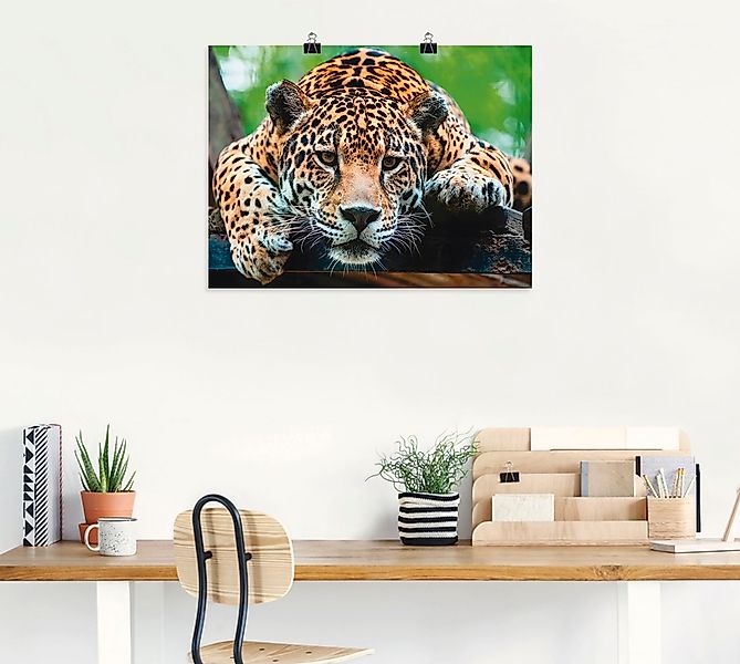 Artland Wandbild "Südamerikanischer Jaguar", Wildtiere, (1 St.), als Alubil günstig online kaufen