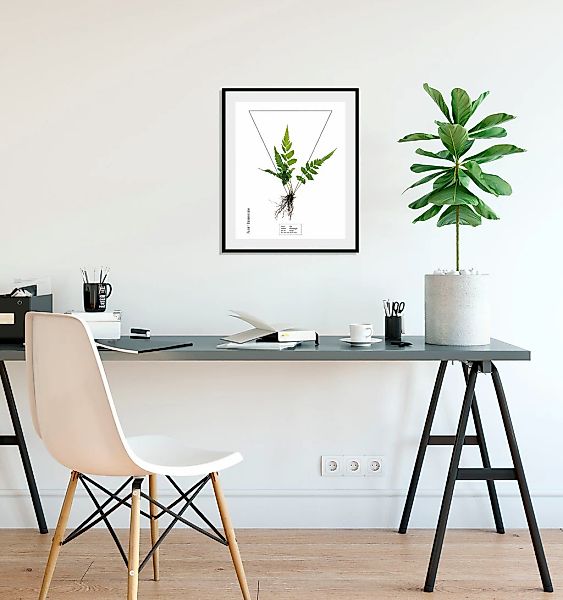 queence Bild "Pteridophyta", Pflanzen-Pflanzenbilder-Schriftzug, (1 St.), H günstig online kaufen