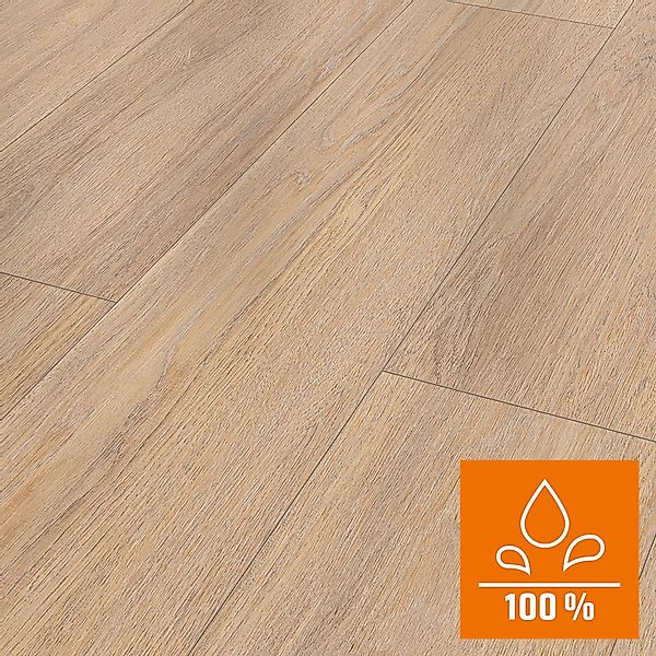 Classen Laminat 8 mm Wasserfest Eiche Cappucino günstig online kaufen