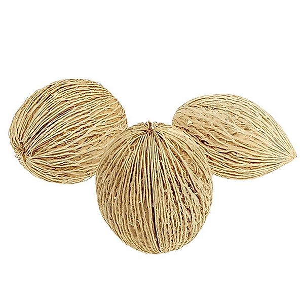 Trockenblume Mintolla Ball Naturdeko gebleicht sortiert günstig online kaufen