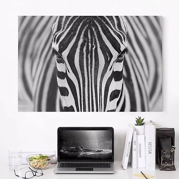 Leinwandbild Tiere - Querformat Zebra Look günstig online kaufen