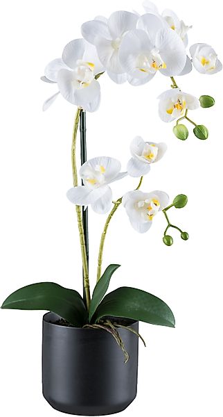 Creativ green Kunstorchidee "Orchidee Phalaenopsis", mit Keramiktopf in mat günstig online kaufen