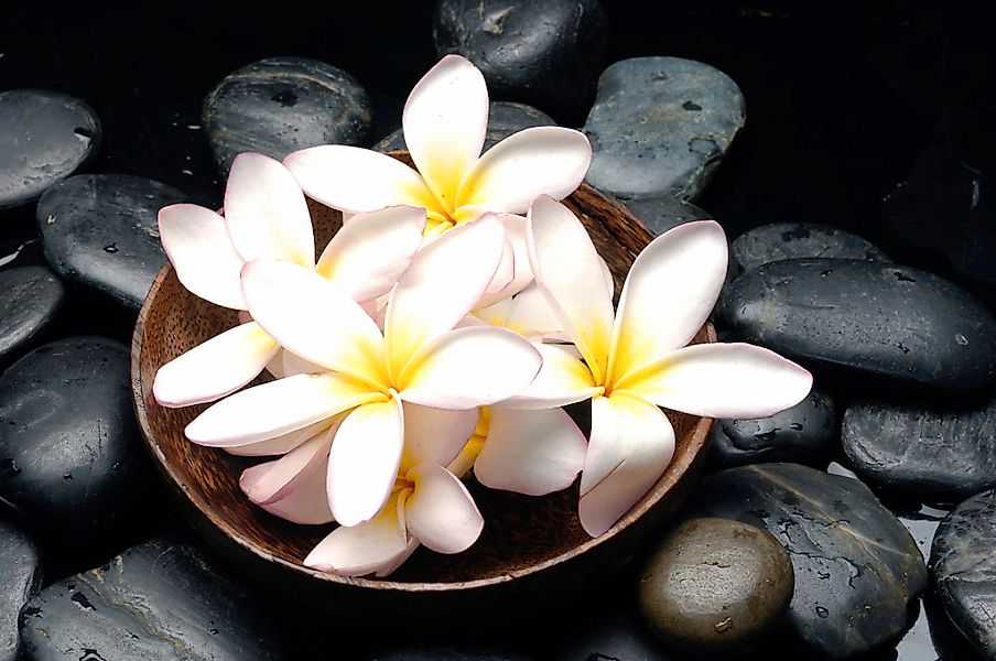 Papermoon Fototapete "Blumen mit Steinen" günstig online kaufen
