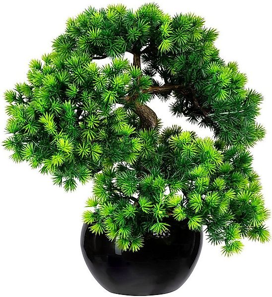 Kunstbonsai Bonsai Lärche Bonsai Lärche, Creativ green, Höhe 37 cm, im Kera günstig online kaufen
