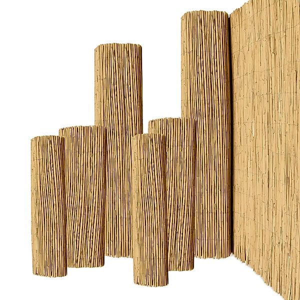 Sol Royal SolVision S36 Sichtschutzzaun 200x600cm Schilf günstig online kaufen