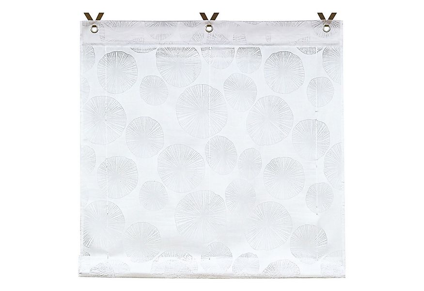 Joyswahl Raffrollo Alice, mit Hakenaufhängung, freihängend, Voile mit Kreis günstig online kaufen