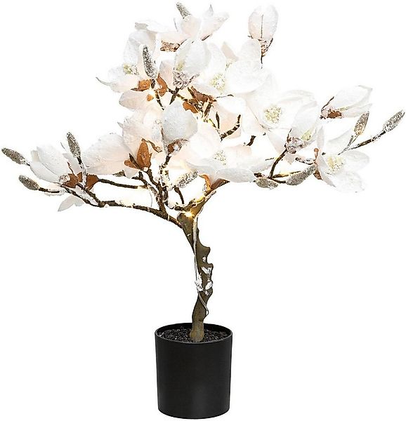 Kunstpflanze Magnolie, Creativ deco, Höhe 58 cm, beschneit, mit 20 LEDs günstig online kaufen