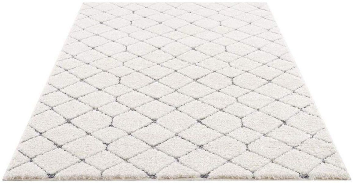 Carpet City Hochflor-Teppich "Focus 4499" rechteckig 20 mm Höhe Läufer, Boh günstig online kaufen