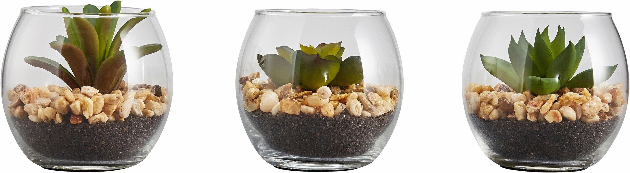 Kunstpflanze Sukkulenten, Creativ green, Höhe 7 günstig online kaufen