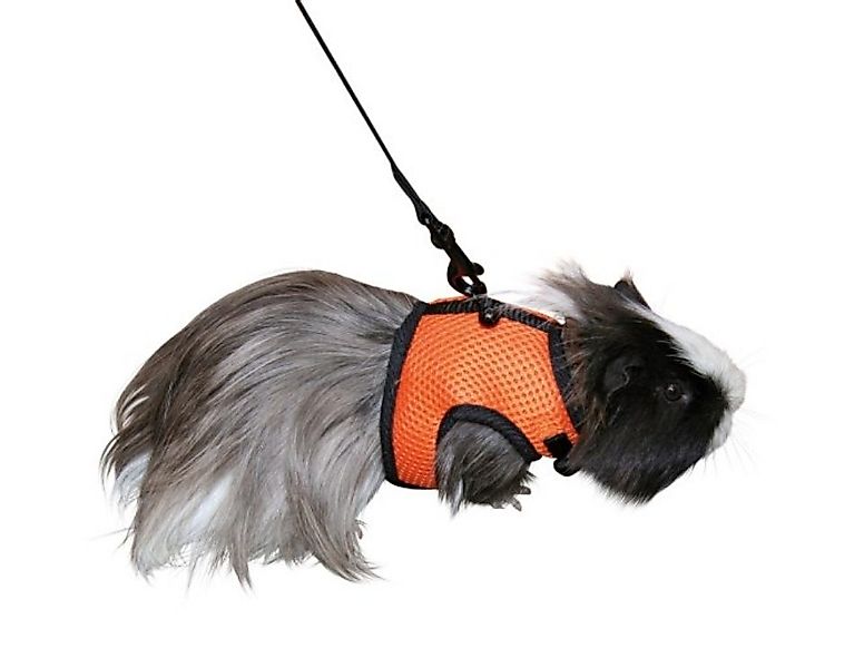 Kerbl Geschirr Nagergeschirr Sport 14 cm günstig online kaufen