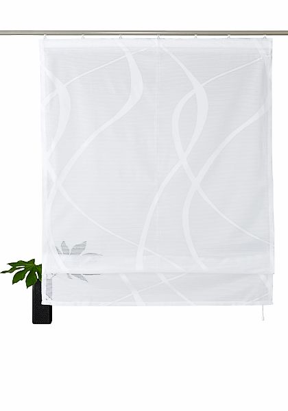 my home Raffrollo "Cellino" mit Klettband Transparent, klassisch gewirkte N günstig online kaufen