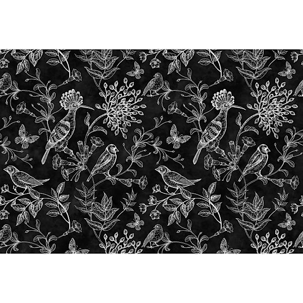 Fototapete Blackboard Blumen Vögel Schwarz Weiß 4,00 m x 2,70 m FSC® günstig online kaufen