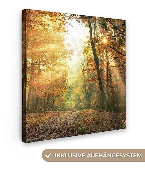 OneMillionCanvasses® Leinwandbild Wald - Herbst - Sonne - Landschaft - Natu günstig online kaufen