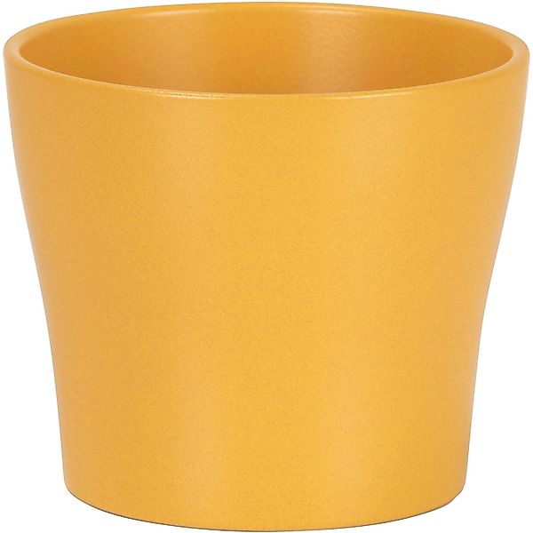 Scheurich Übertopf 808 Ø 19 cm x 16 cm Curcuma günstig online kaufen