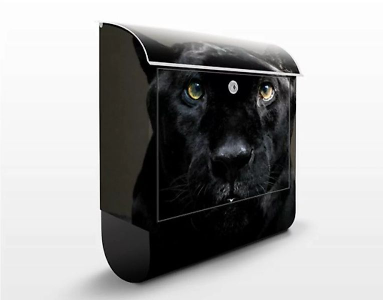 Briefkasten Tiere Black Puma günstig online kaufen