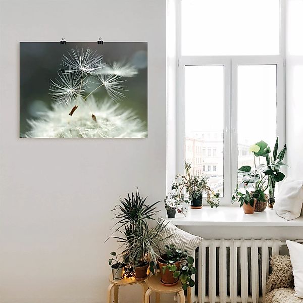 Artland Wandbild "Pusteblume Facility", Blumen, (1 St.), als Alubild, Outdo günstig online kaufen