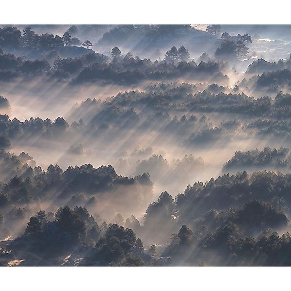 Komar Vliestapete »Digitaldruck Vlies - Rays - Größe 300 x 250 cm«, bedruck günstig online kaufen