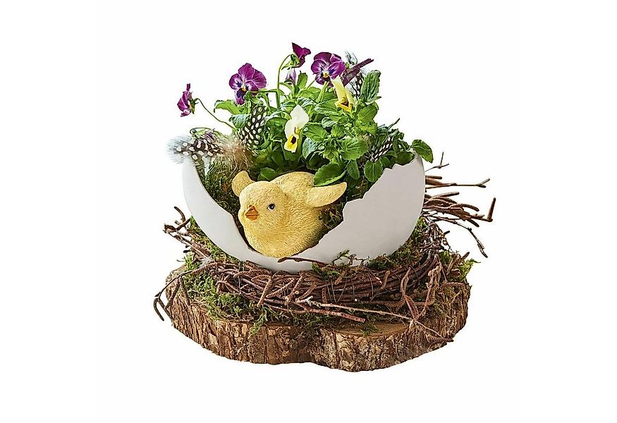 Mirabeau Osterfigur Deko-Schale Alfie weiß/gelb günstig online kaufen