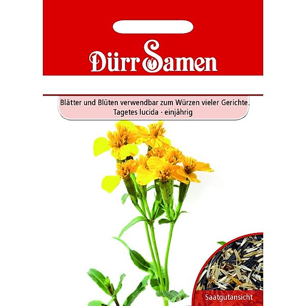 Dürr Samen Würz-Tagetes Saatgut günstig online kaufen