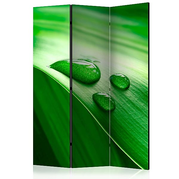 3-teiliges Paravent - Leaf And Three Drops Of Water [room Dividers] günstig online kaufen