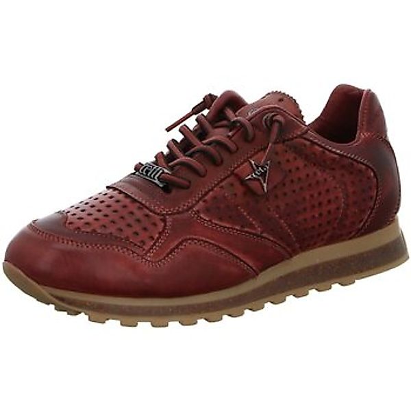Cetti  Sneaker C-848 günstig online kaufen