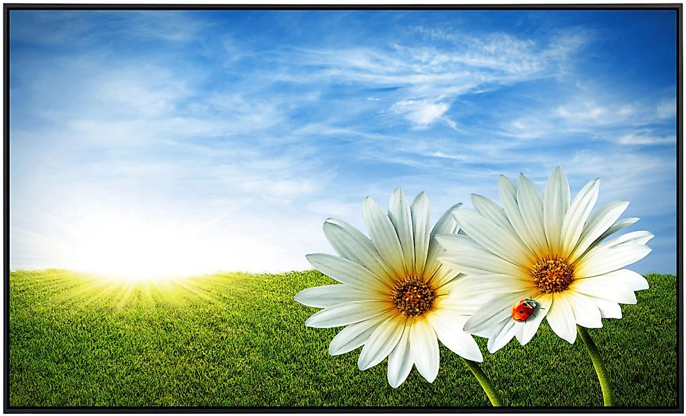Papermoon Infrarotheizung »Frühlingsgänseblümchen« günstig online kaufen