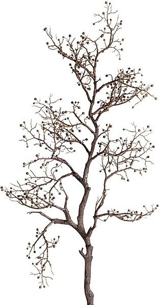 Kunstzweig Pfefferberrenzweig Zweig, Botanic-Haus, Höhe 115 cm günstig online kaufen