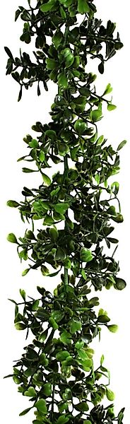 Kunstgirlande Buchsbaum-Girlande, Creativ green, Höhe 150 günstig online kaufen