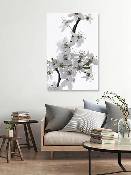 Poster / Leinwandbild - Cherry Flower günstig online kaufen