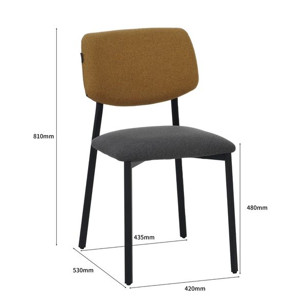 Ravino Esszimmerstuhl Designerstuhl A21 Esszimmerstuhl mit günstig online kaufen