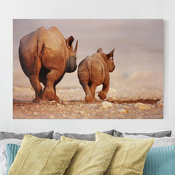 Leinwandbild Tiere - Querformat Wandering Rhinos günstig online kaufen