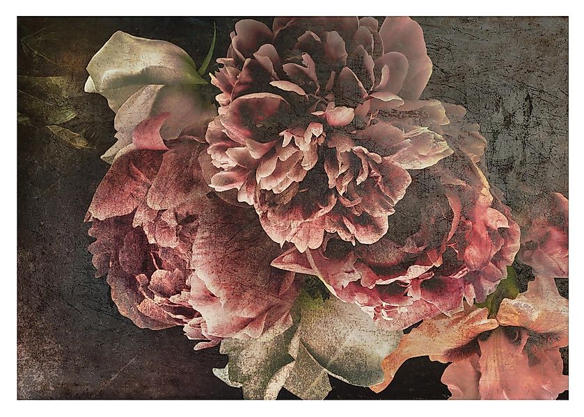 Wallarena Fototapete Blumen Vintage Rose Vlies günstig online kaufen
