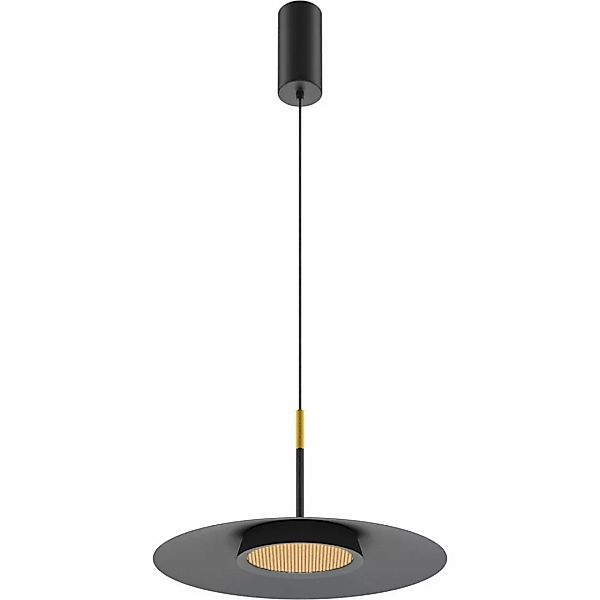 LED Pendelleuchte El in Schwarz 12W 500lm günstig online kaufen