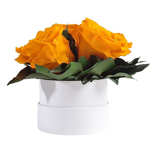 Kunstblume Infinity Rosenbox weiß rund 3 günstig online kaufen