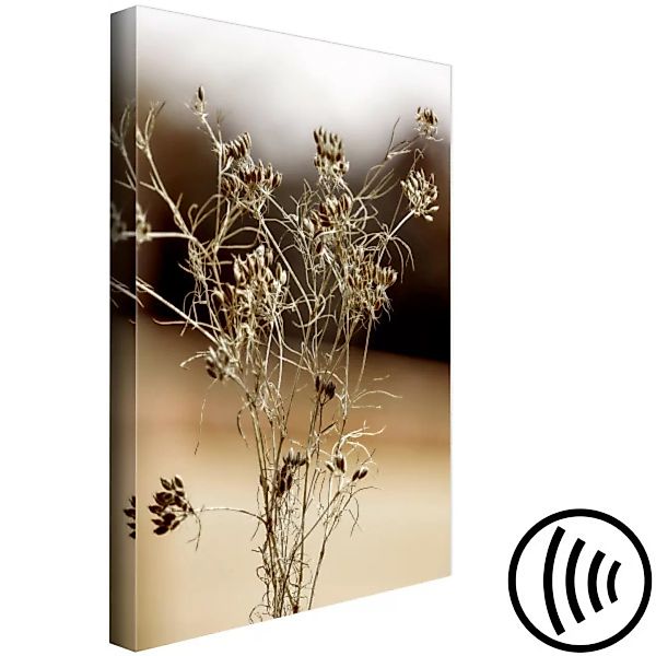 Leinwandbild Trockenpflanze - Natur im Boho-Stil auf einem braunen Hintergr günstig online kaufen