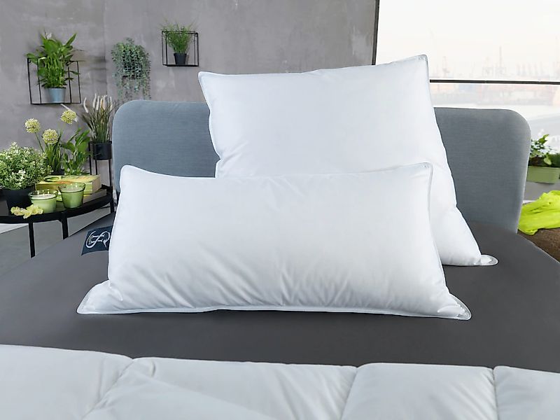 Haeussling Daunenkissen "Häussling Select-Made in Green" Füllung: weiße neu günstig online kaufen