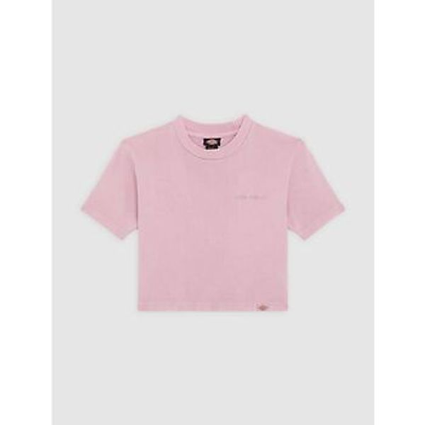 Dickies  T-Shirts & Poloshirts PLENTYWOOD TEE - DK0A866FK391-LILAS günstig online kaufen