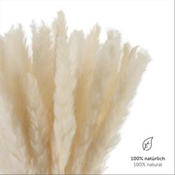 Kunstpflanze getrocknet - Trockenblumen, Ideales Dekoelement günstig online kaufen