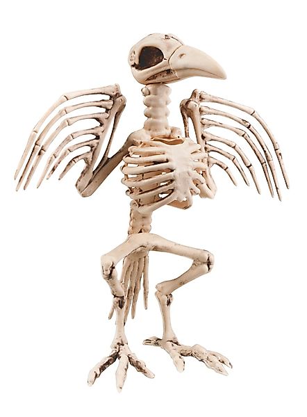 Metamorph Dekofigur Vogelskelett Halloween Deko, Makaberes günstig online kaufen