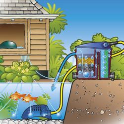 Ubbink Air 1000 Teich Belüftungspumpe Luftpumpe 6-Fach günstig online kaufen